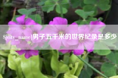 石狮男子五千米的世界纪录是多少
