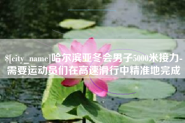 石狮哈尔滨亚冬会男子5000米接力-需要运动员们在高速滑行中精准地完成