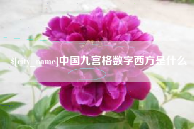 石狮中国九宫格数字西方是什么