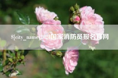 石狮2021国家消防员报名官网