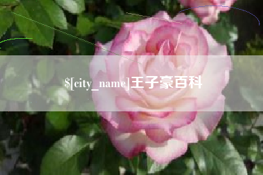 石狮王子豪百科