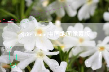 石狮中国地图像素版