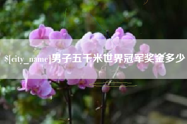 石狮男子五千米世界冠军奖金多少