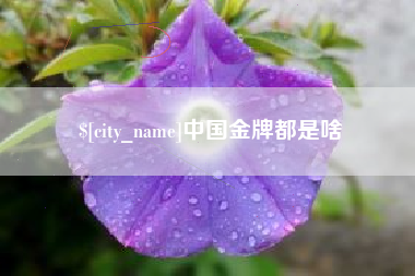 石狮中国金牌都是啥