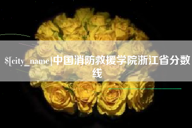 石狮中国消防救援学院浙江省分数线
