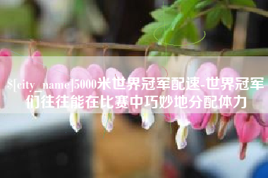 石狮5000米世界冠军配速-世界冠军们往往能在比赛中巧妙地分配体力