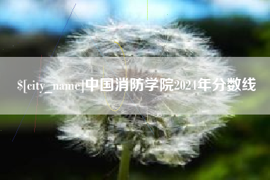 石狮中国消防学院2024年分数线