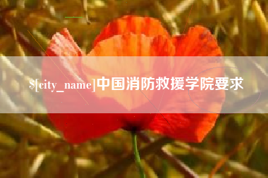 石狮中国消防救援学院要求