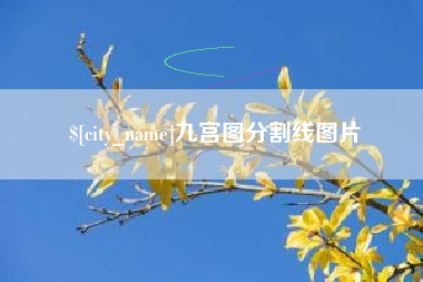 石狮九宫图分割线图片