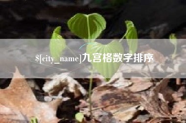 石狮九宫格数字排序