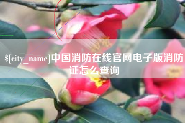 石狮中国消防在线官网电子版消防证怎么查询