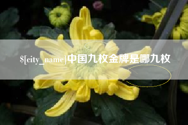 石狮中国九枚金牌是哪九枚
