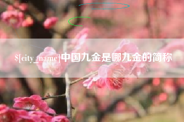 石狮中国九金是哪九金的简称