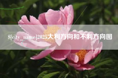 石狮2025大利方向和不利方向图