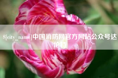 石狮中国消防网官方网站公众号达伦特