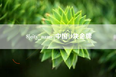 石狮中国19块金牌