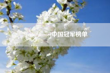 石狮中国冠军榜单