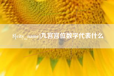 石狮九宫宫位数字代表什么
