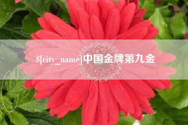 石狮中国金牌第九金