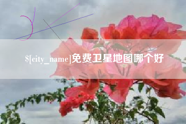 石狮免费卫星地图哪个好