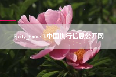 石狮1.中国执行信息公开网