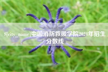 石狮中国消防救援学院2024年招生分数线