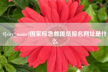 石狮国家应急救援员报名网址是什么