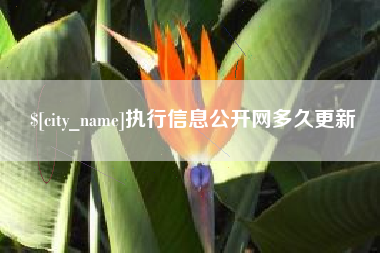 石狮执行信息公开网多久更新