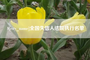 石狮全国失信人法院执行名单