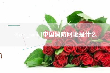 石狮中国消防网址是什么