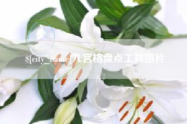 石狮九宫格盘点工具图片
