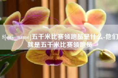 石狮五千米比赛领跑员是什么-他们就是五千米比赛领跑员