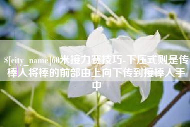 石狮60米接力赛技巧-下压式则是传棒人将棒的前部由上向下传到接棒人手中