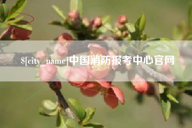 石狮中国消防报考中心官网