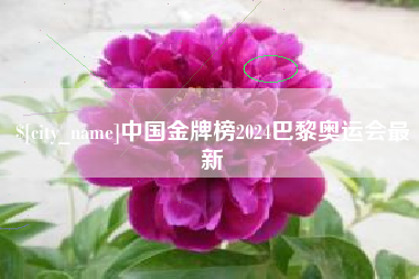 石狮中国金牌榜2024巴黎奥运会最新