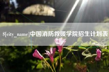 石狮中国消防救援学院招生计划表