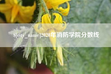 石狮2020年消防学院分数线