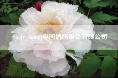石狮中国消防设备有限公司