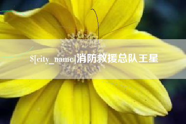石狮消防救援总队王星