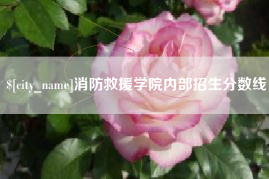 石狮消防救援学院内部招生分数线