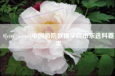 石狮中国消防救援学院山东选科要求