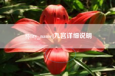 石狮九宫详细说明
