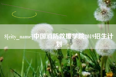 石狮中国消防救援学院2019招生计划