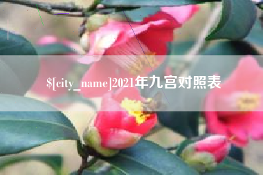 石狮2021年九宫对照表