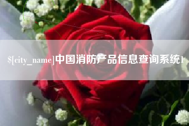 石狮中国消防产品信息查询系统1