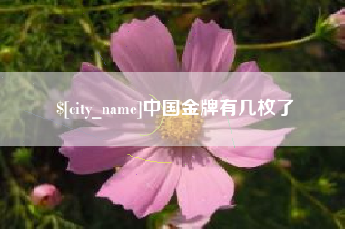 石狮中国金牌有几枚了