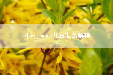 石狮九宫怎么解释