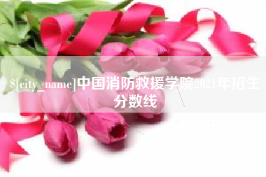 石狮中国消防救援学院2021年招生分数线