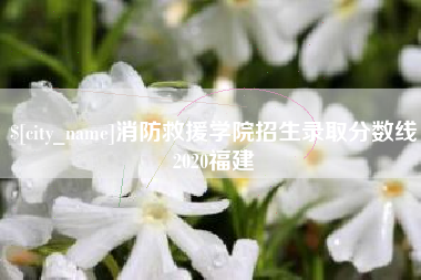 石狮消防救援学院招生录取分数线2020福建