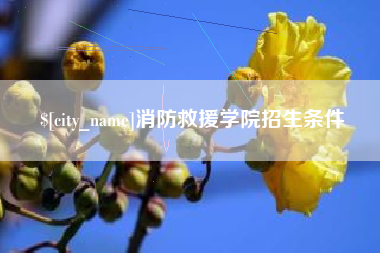 石狮消防救援学院招生条件